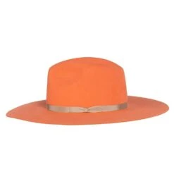 Rodeo King Coral Tracker Silvery Belly Band 4in. Brim Fashion Hat -Deals Cowgirl Kit Store RK408 2